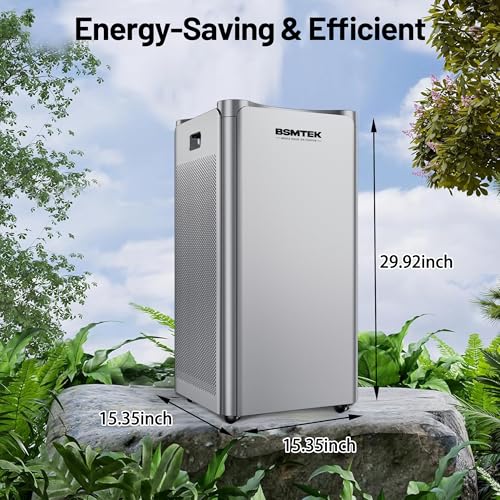 BSMTEK Whole Home Air Purifier