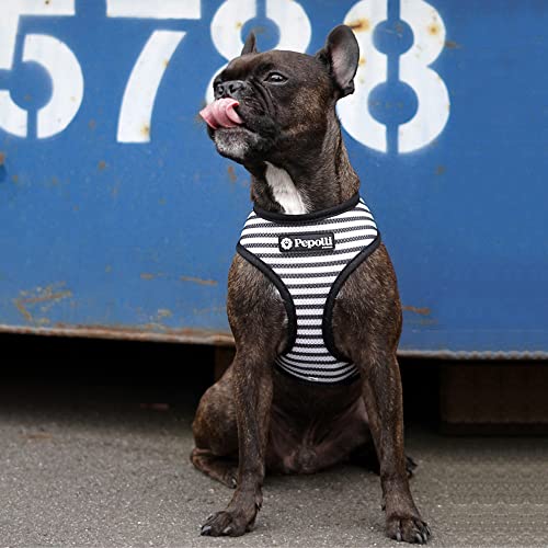 Pepolli Hundegeschirr | Geschirr für Französische Bulldogge, Frenchie, Frenchbulldog, Mops (S (Hals 33–36 cm, Brust 49 – 64 cm), MC French)