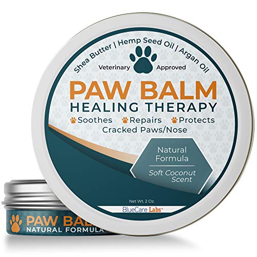 10 Best Shea Butter Brands For Dogs