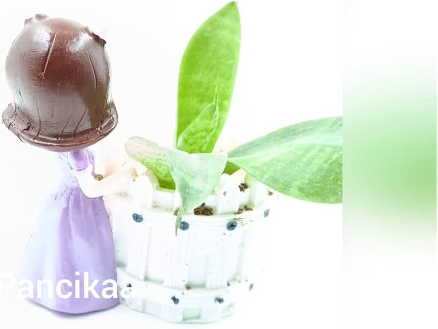 Image of Girl Resin Succulent Planter Flower Pot Handicraft Pack of 2 Indoor Outdoor Flower Pot Handicraft Planter, Plant Container Set (Multicolor Buddha Girl)