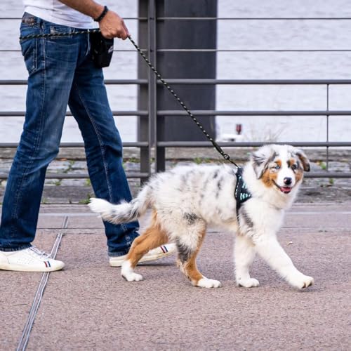 Image of PAWPRO HANDMADE 5 Ft Heavy‑Duty Reflective Dog Leash - Soft Padded Handle + 360 Swivel Clip - Strong Nylon Rope, Tangle‑Free, Safe Night Walks - Ideal for, Medium & Large Dogs (Bark Knight, 5 Feet)