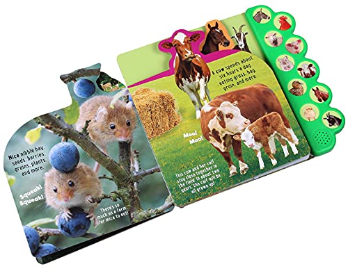 Discovery: Moo on the Farm! 4 51PcqkilSRS