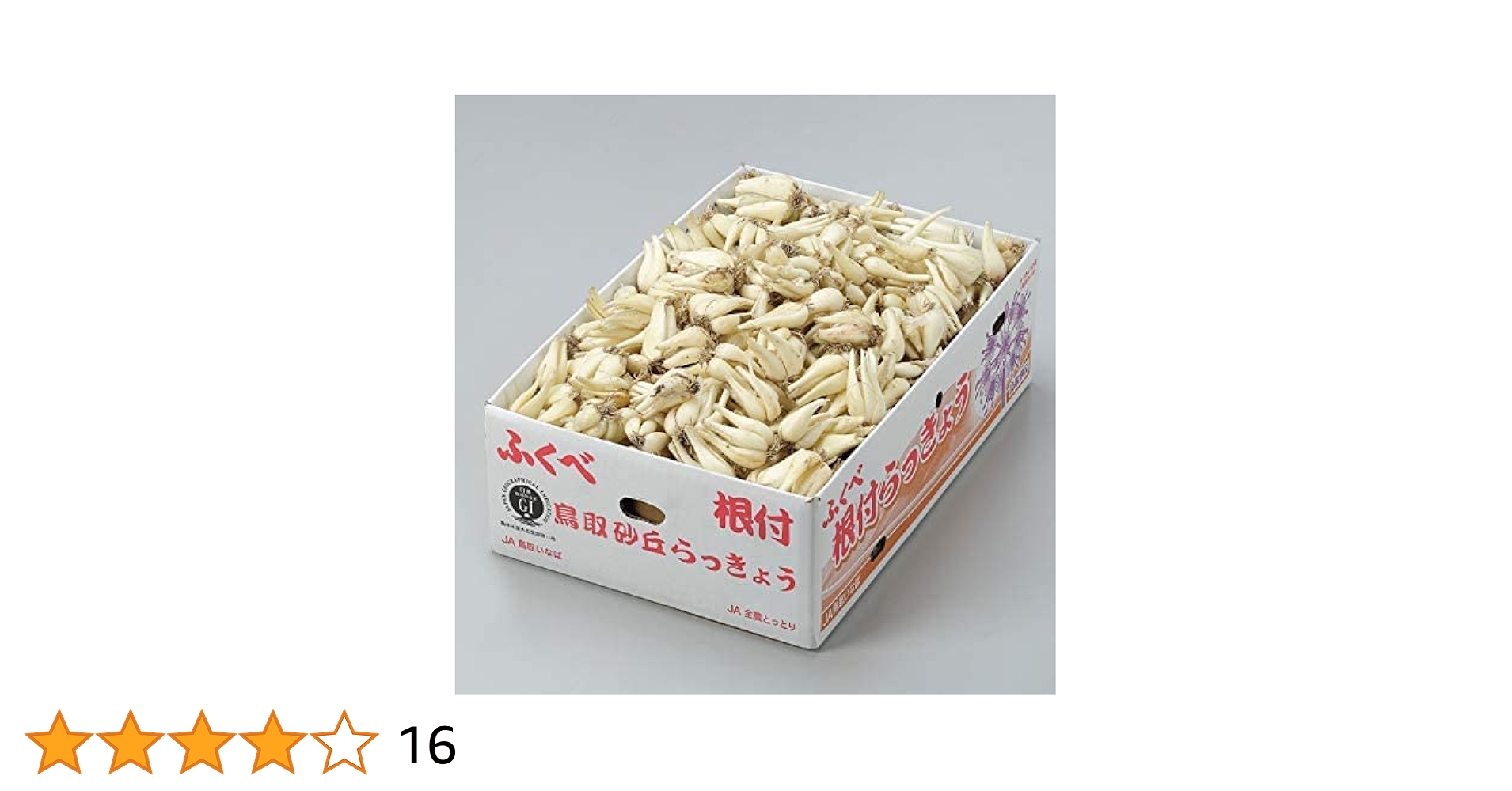 砂丘らっきょう【Mサイズ10キロ】 洗い 砂丘らっきょう 秀品 Mサイズ 10kg 鳥取県産 JA鳥取