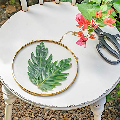 Ncyp 8" Hanging Herbarium Frame Gold, Brass Round Glass Frame For Pressed Dried Flowers, Double Glass Floating Frame Display Plants Specimen, Glass Frame Only #TOP1
