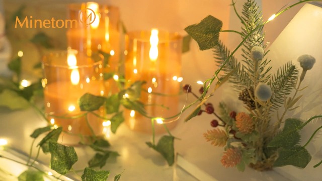 Image of Minetom Vine Lights for Bedroom, 21ft 60LED Fairy Lights Battery Operated with Remote Control, 8 Lighting Modes Ivy Vines String Light for Bedroom Room Wall Wedding Christmas, Warm White