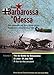 Produktbild From Barbarossa to Odessa: The Luftwaffe and Axis Allies Strike South-East: June - October 1941: The Air Battle for Bessarabia: 22 June-31 July 1941 ... South East June - October 1941, Band 1)