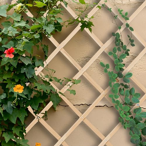 Relaxdays Rankgitter ausziehbar, 3er Set, 180x90 cm, Holz, Rankhilfe Kletterpflanzen, Holzgitter Wand, Spalier, Natur