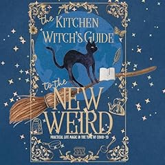 The Kitchen Witch's Guide to the New Weird Audiolibro Por Red Tash arte de portada
