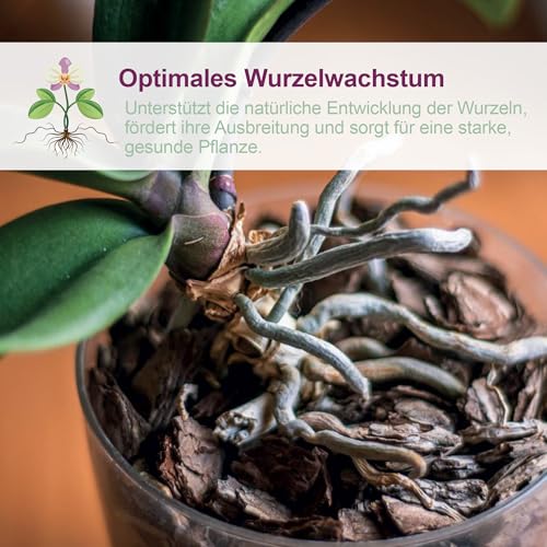 Kalapanta Orchideen-Umtopfset: Durchsichtiger Blumentopf mit Drainagelöchern, Untertasse und Orchideensubstrat - Ø 14 cm - 1 – Ansicht 6