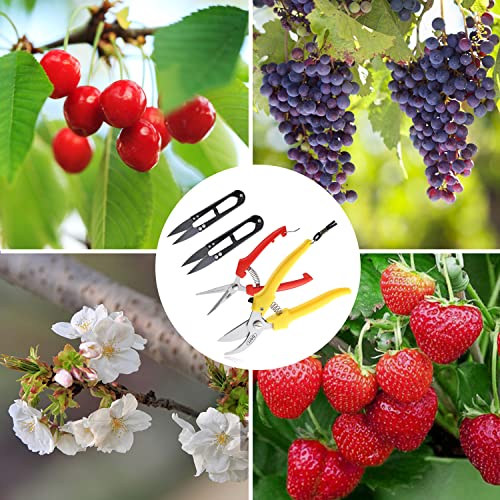 4 Pcs Garden Shears, Stainless Steel Garden Scissors With Pp Handle, Heavy Duty Hand Garden Clippers, Pruning Shears For Flowers, Plant, Floral And Bonsai #TOP6