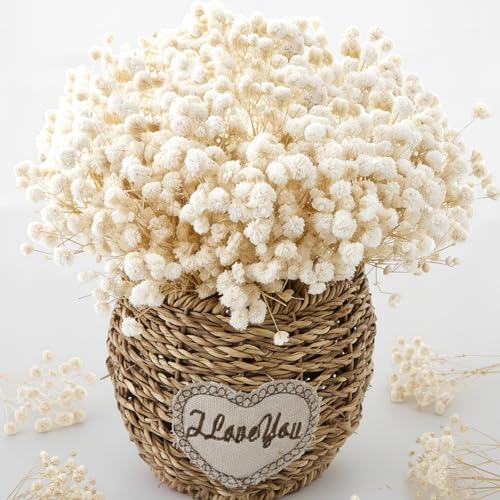2500+ Mini Dried Babys Breath Flowers, 75 Pcs Ivory...