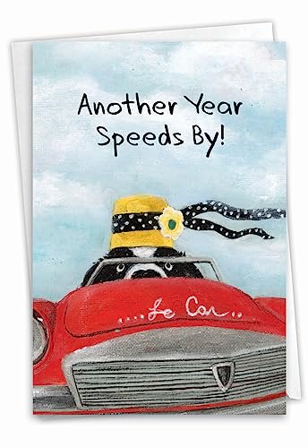 Best Card Co 1 Birthday Greeting Card Driving Divas Dog Speeds By C9276HBDG