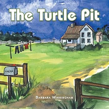 Paperback The Turtle Pit Book