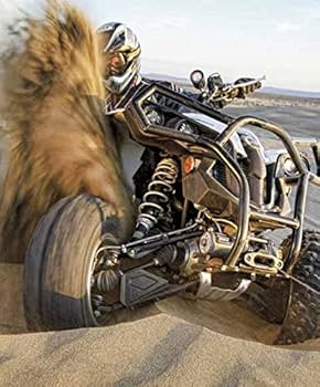 Amazon.com: WARN ProVantage 4500-s Winch - 4500 lb. Capacity