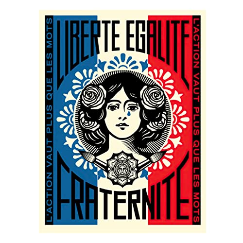 Art mural Obey pour salon moderne : toile street art vintage 30x45cm décoration intérieure