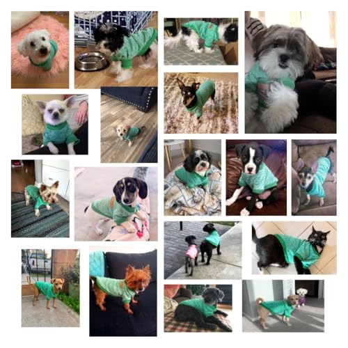 Image of Pet Dog Classic Knitwear Sweater Warm Winter Puppy Pet Coat Soft Sweater Clothing for Small Dogs (XXS, Green)