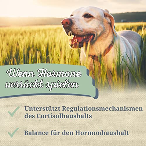 Krauterie Mönchspfeffer Hund, Einzelfuttermittel für Hunde (100 g), Mönchspfeffer Ganz in Spitzenqualität