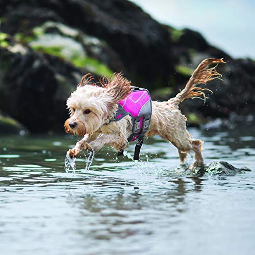 VIVAGLORY Life Jacket for Dogs of Sports Style, Water Vest Jacket for Dog, Heavy Duty Pet Safety Vest, Comfortable Neoprene Lifejackets with Hook & Loop Closure, Pink, Small