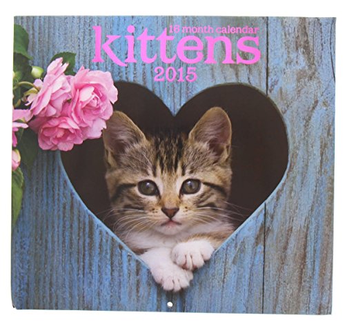 2015 Wall Calendar - 16 Month Kittens Design by 2015 Calendar