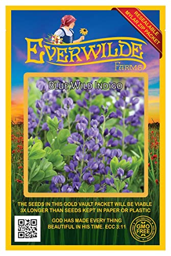 Everwilde Farms - 60 Blue Wild Indigo Native Wildflower Seeds - Gold Vault Jumbo Seed Packet Everwilde Farms - 60 Blue Wild Indigo Native Wildflower Seeds - Gold Vault Jumbo Seed Packet
