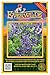Everwilde Farms - 60 Blue Wild Indigo Native Wildflower Seeds - Gold Vault Jumbo Seed Packet