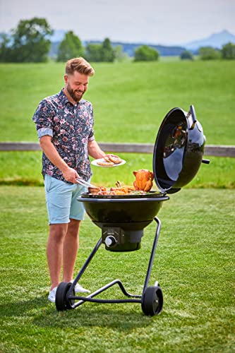Rôtissoire Inox RÖSLE avec Récipient à Marinade 0,25L Multi Cuisson
