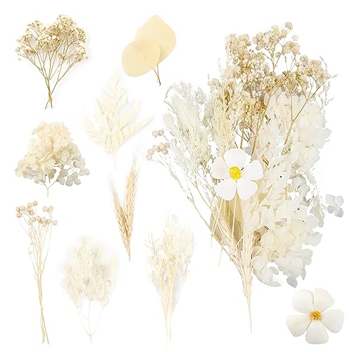 Fleurs Séchées Bouquet de Fleurs Séchées Naturelles Vraies Fleurs Pressées Décoration pour Bougies DIY Bougie Ongles Artisanat Scrapbooking Décoration Florale (Blanc)