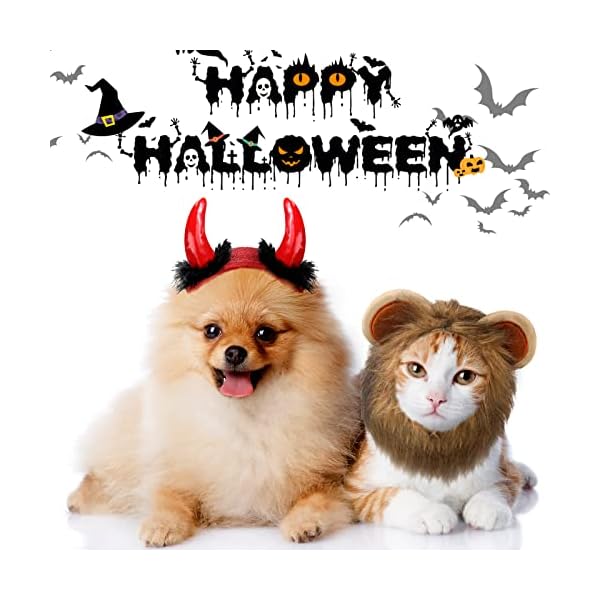 4 pieces halloween pet costume cat lion mane costume vampire cloak devil hat frog hat cat small dogs outfits for halloween party pet cosplay - image 6