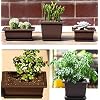 Yesland 6 Pack Bonsai Training Pots - 9 Inches Classic Deep Humidity Trays with Built in Mesh - Plastic Square Pot & Bonsai Plants Growing Pots