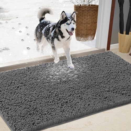 IM HOME Chenille Absorbent Outdoor Doormat 36