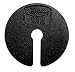 Slotted Weight, 10g - Zinc Casted - Spare or Extra Parts for Slotted Masses Sets - Eisco Labs