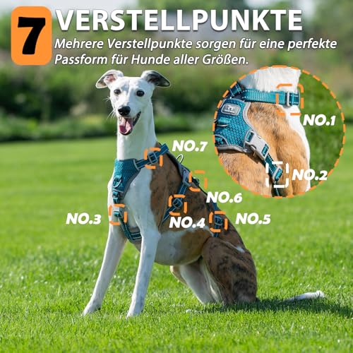 Huntboo Sicherheitsgeschirr Hund Ausbruchsicher, Panikgeschirr für Hunde, Anti Zug Hundegeschirr, Reflektierend, Verstellbare, Leichte Weste für kleine, mittelgroße und große Haustiere (Blau,M)