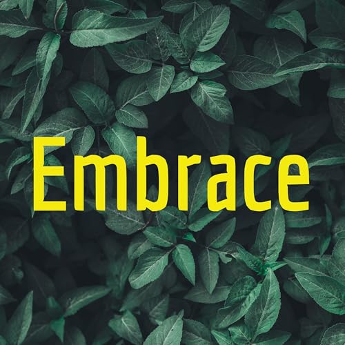 『Embrace❤』のカバーアート