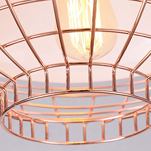 Lustre créatif 1 lumière à placage net pour éclairage de cuisine