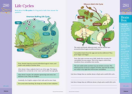 Brain Quest Workbook: Grade 5 - Image 7