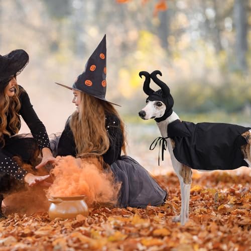 Disfraz de Bruja para Perro y Gato Halloween Talla Única miniatura 2