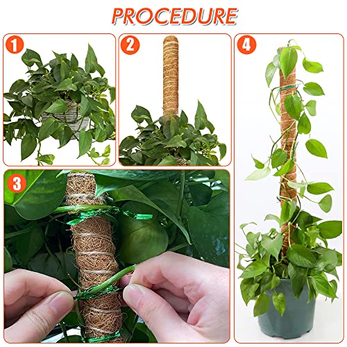 Tiebola 2 Pack Moss Pole For Climbing Plants, Full Length 26 Inch, With 10 Green Soft Metal Fixing Straps, Plant Poles, For Monstera, Sphagnum, Pothos, And Other Indoor Plants.… #TOP5