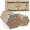 BEESI 600 x nesthulzen voor wilde bijen, 6 en 8 mm diameter, waterafstotend, lange levensduur, nesthulp, accessoires, vulmateriaal voor insectenhotel