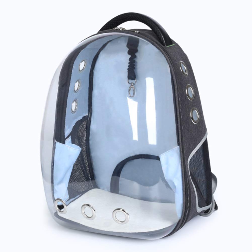 Sac à dos portable chat et lapin idéal pour vacances et balades