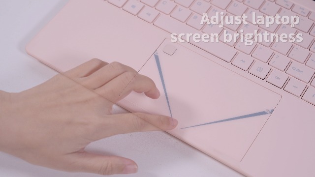 Amazon.com: Alder Lake Quad Core N95 - Computadora portátil rosa