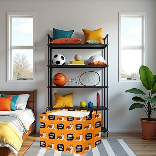 Image of Woof Dog Basket Storage Bin, Orange | For Chew Toys, Pet Supplies Organizer, Pet Organizer, Dog Room Decor