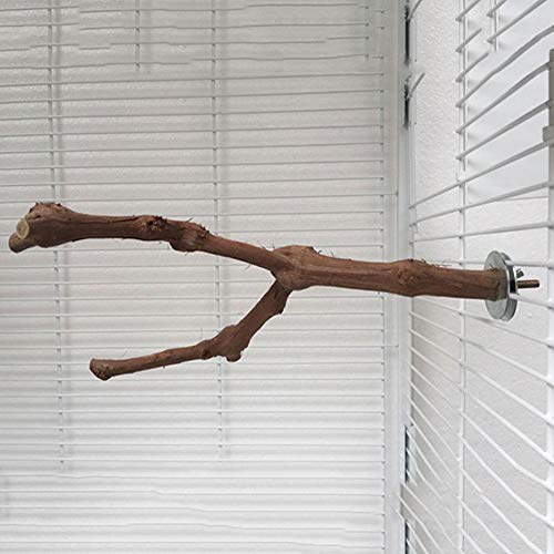 Azxaz - Perchas de madera natural para pájaros y jaula de juguete