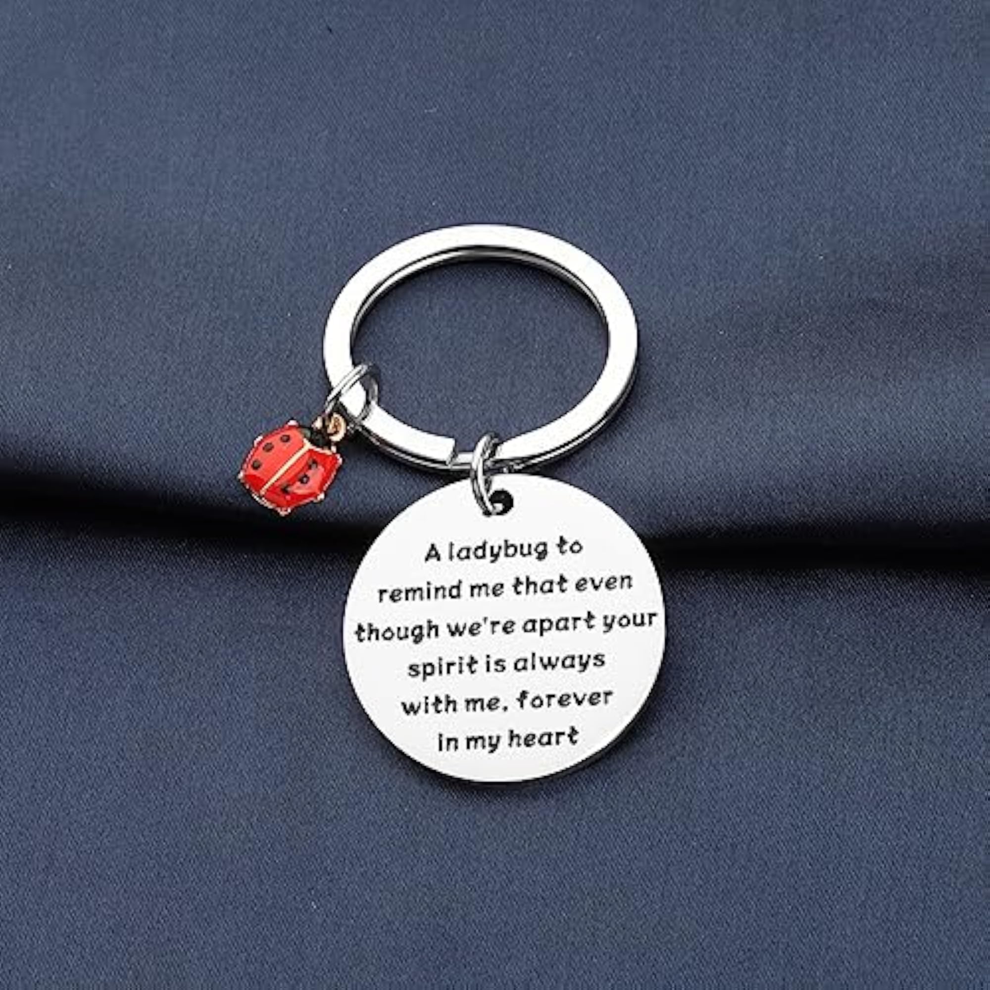 Ladybug Sympathy Gift, Memorial Remembrance Gift