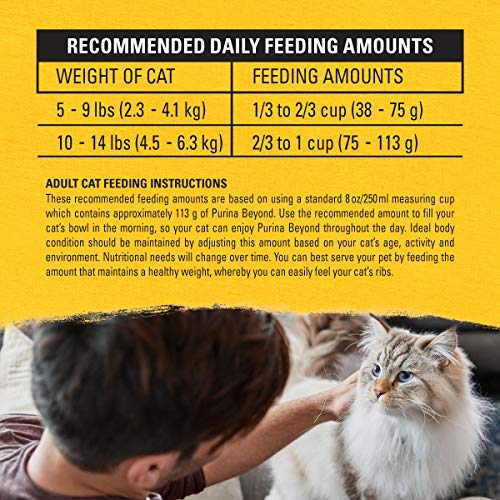 The 6 Best Purina Beyond Dry Cat Food of 2024 [Verified] Cherry Picks