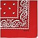Raylarnia Bandana Multi-Purpose 100% Cotton Headbands for Women, 22 inch Paisley Cowboy Bandanas for Men