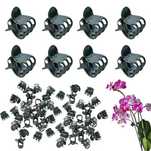 50 Stück Pflanzenclips, Pflanzenclips Groß, Orchideen Klammern, Orchideen Clips, Klammern FüR PflanzstäBe,Kletterpflanzen Zur UnterstüTzung Von PflanzenstäNgeln Im Garten(DunkelgrüNe)