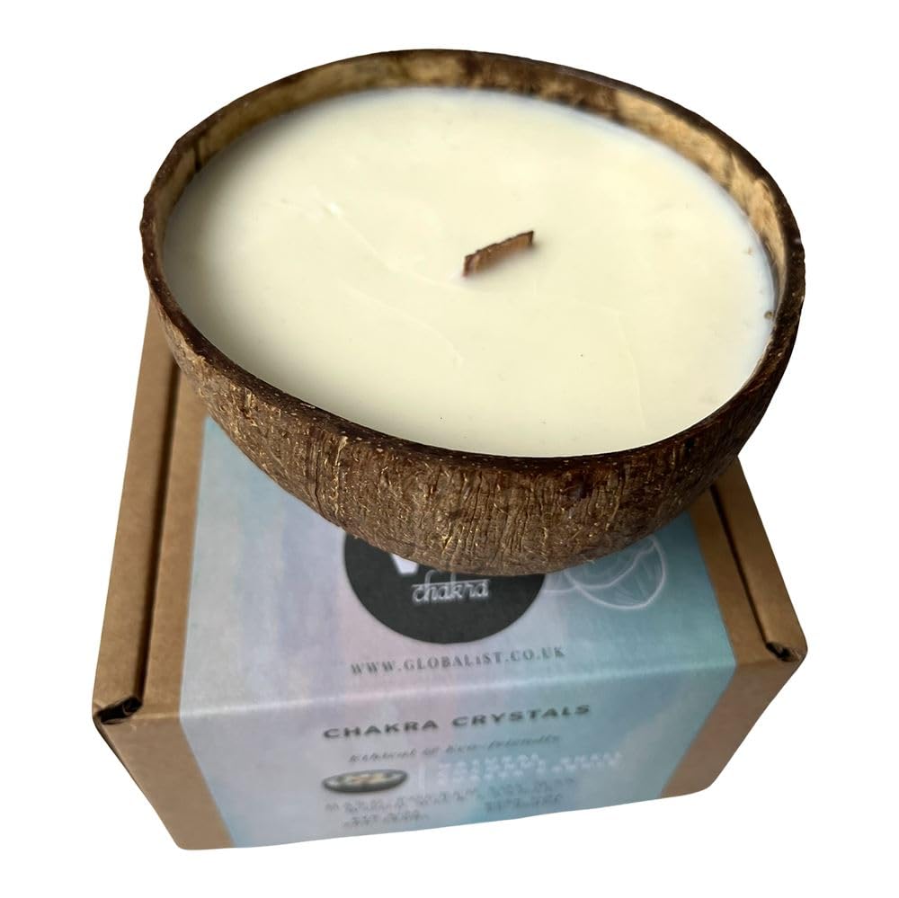 Vie Naturals Handmade Candle in a Natural Coconut Shell, Cinnamon Apple