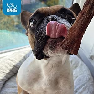   GigaBite-12-Inch-Beef-Esophagus-Dog-Treat-Strips-by-Best-Pet-Supplies-Pack-of-10-TES-12-10