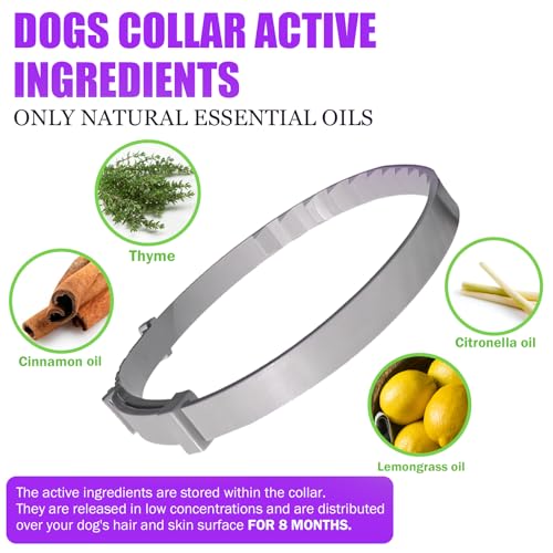 Leafloom Dog Collars Adjustable