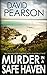 MURDER IN A SAFE HAVEN: An Irish murder mystery with a wicked twist